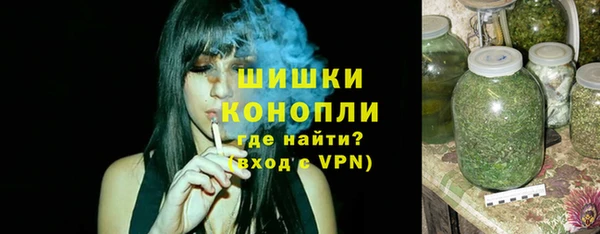 эйфоретик Вяземский
