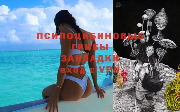 Альфа ПВП Вязьма