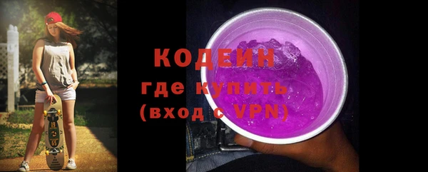 эйфоретик Вяземский