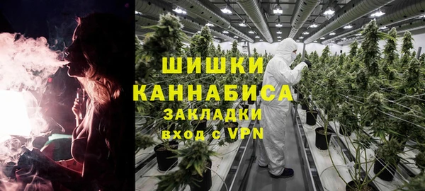 ПСИЛОЦИБИНОВЫЕ ГРИБЫ Волоколамск