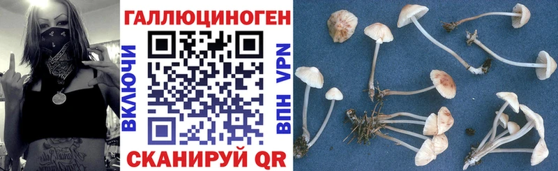 Галлюциногенные грибы GOLDEN TEACHER  Вышний Волочёк 